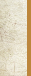 Samber Sheep Co.
